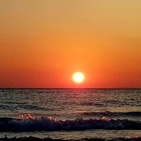 Agriturismo Il Poggio Casale Marittimo Dış mekan fotoğraf