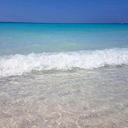 Agriturismo Il Poggio Casale Marittimo Dış mekan fotoğraf