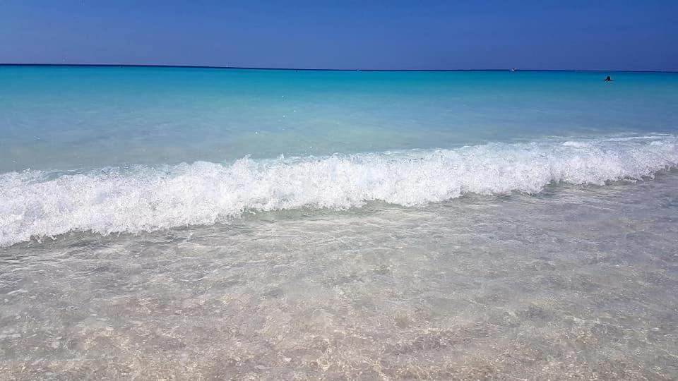 Agriturismo Il Poggio Casale Marittimo Dış mekan fotoğraf