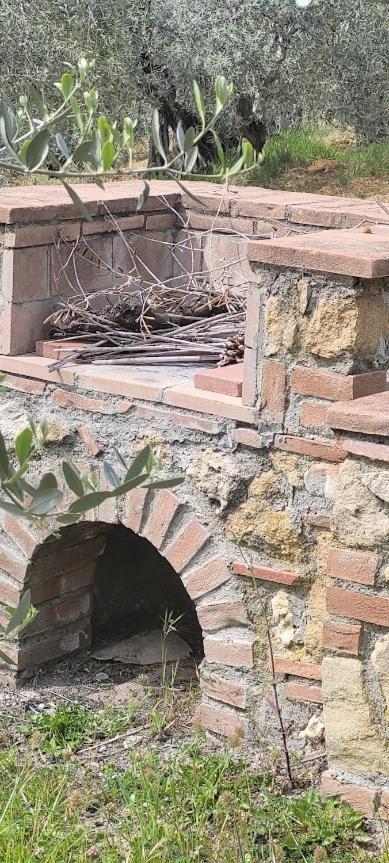 Agriturismo Il Poggio Casale Marittimo Dış mekan fotoğraf