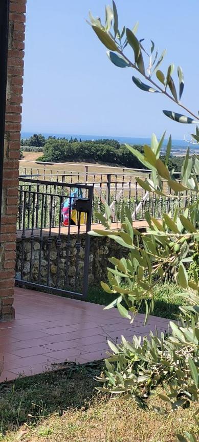 Agriturismo Il Poggio Casale Marittimo Dış mekan fotoğraf