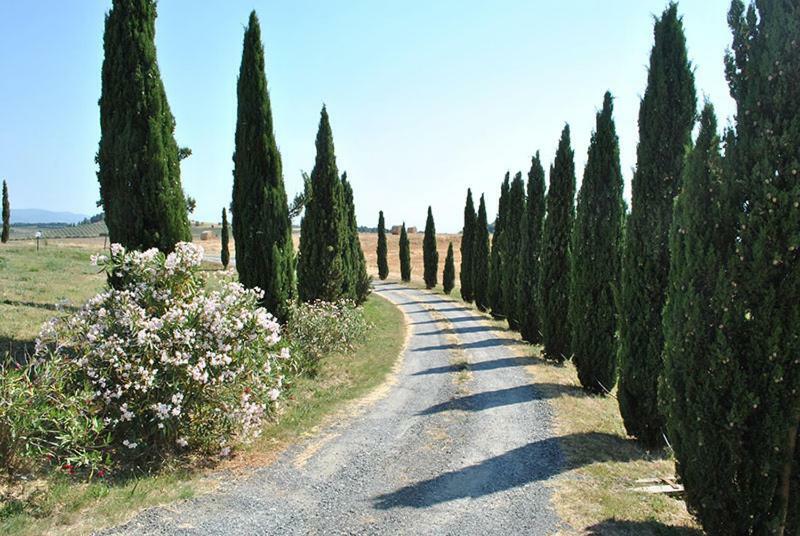 Agriturismo Il Poggio Casale Marittimo Dış mekan fotoğraf